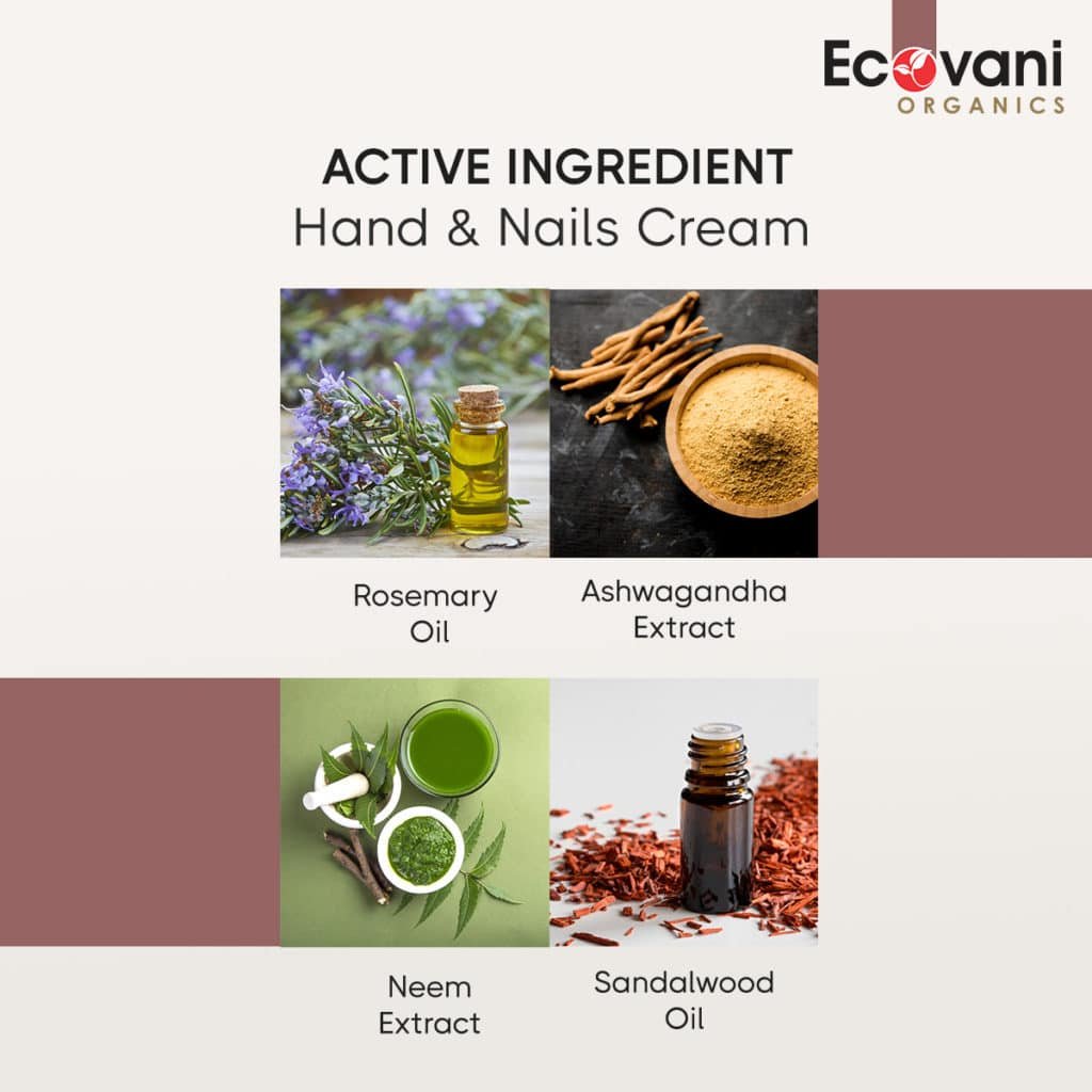 Hand Cream for Dry Skin & Nails Ecovani Organics (100/50g)